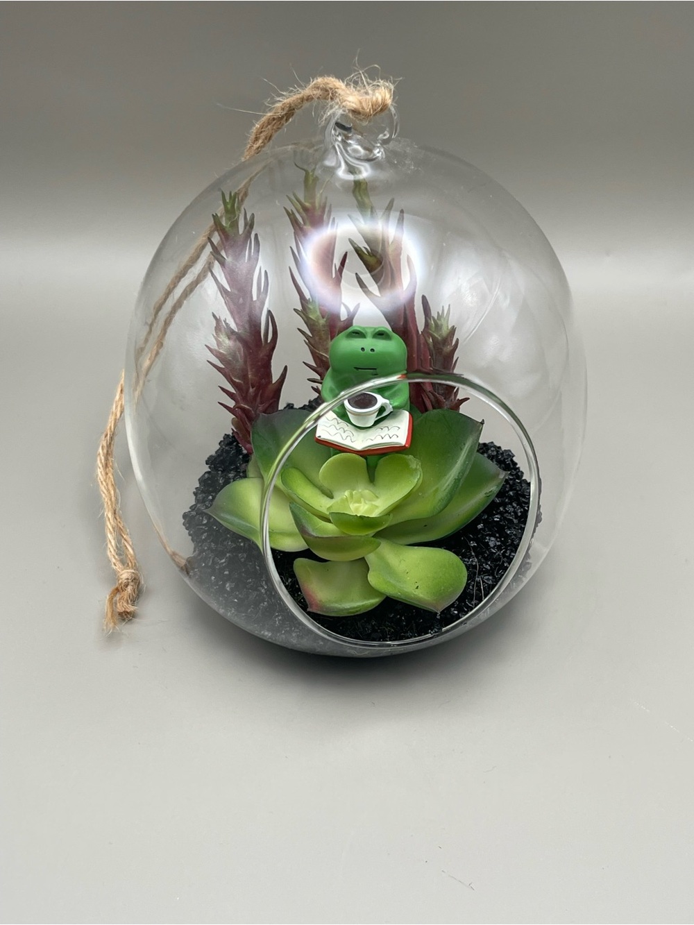🐸 Happy Place Terrarium – Hanging Glass Decor ☕️📖 - Picture 3 of 8